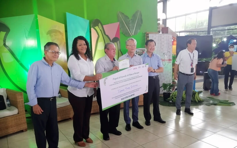 mefcca-concurso-platano